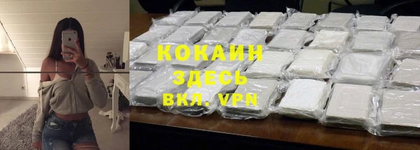 сатива Алзамай