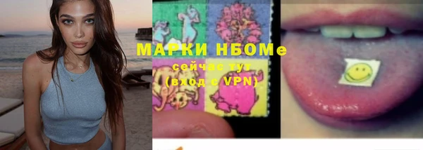 apvp Алексин