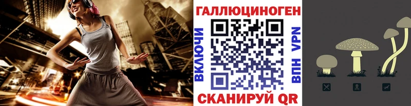 Псилоцибиновые грибы прущие грибы купить наркотик OMG как войти Урюпинск