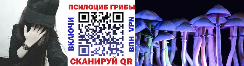 Галлюциногенные грибы Cubensis Урюпинск